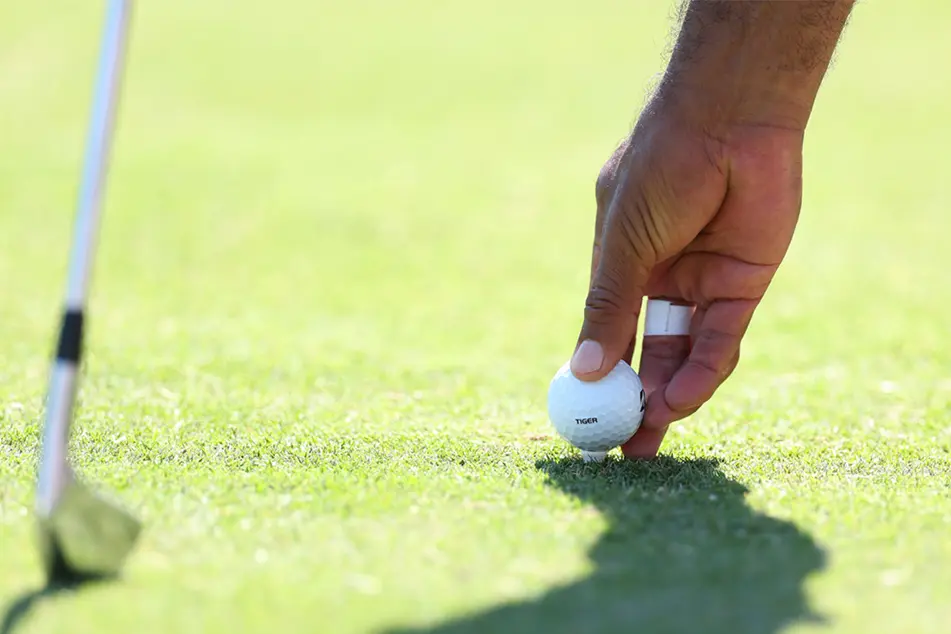tee-ball-golf-rules.webp (32 KB)