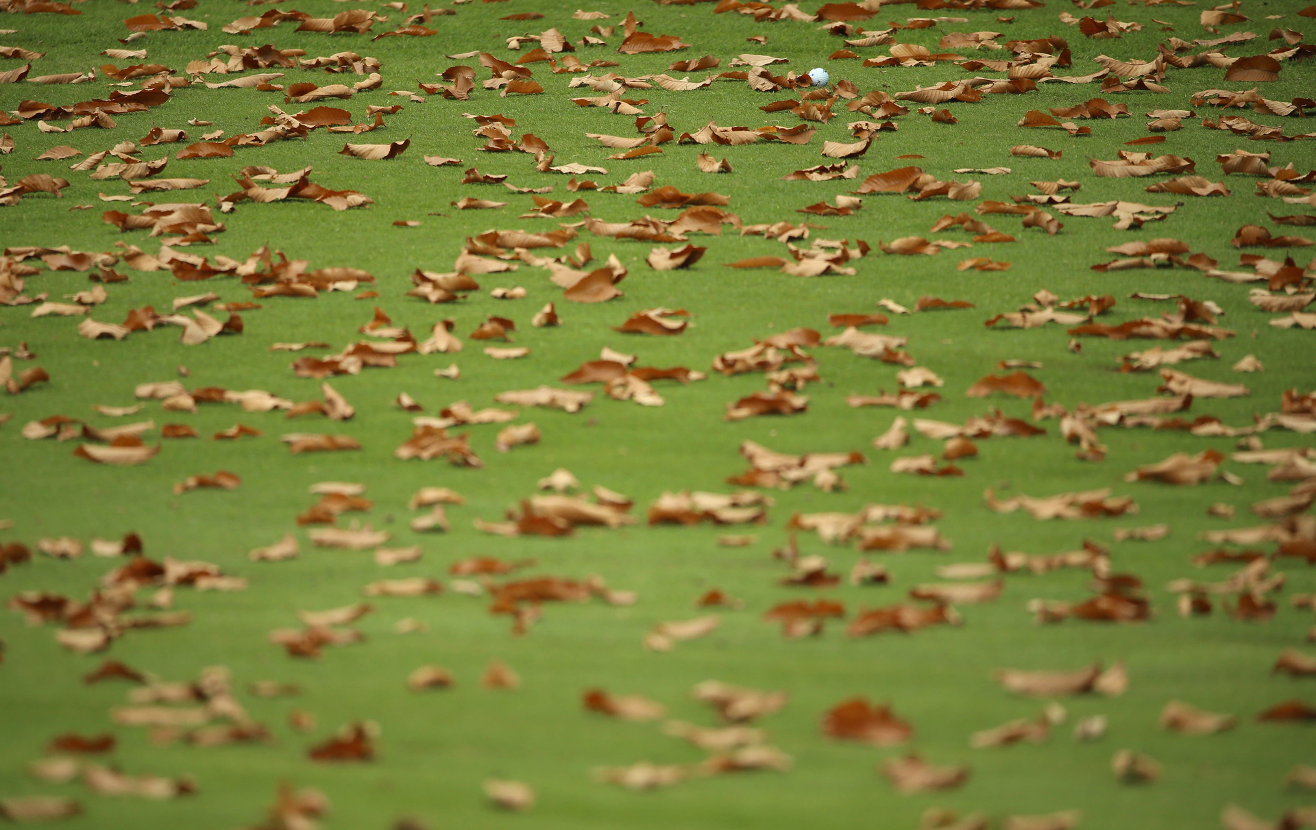 GettyImages-492139722.jpg (817 KB)