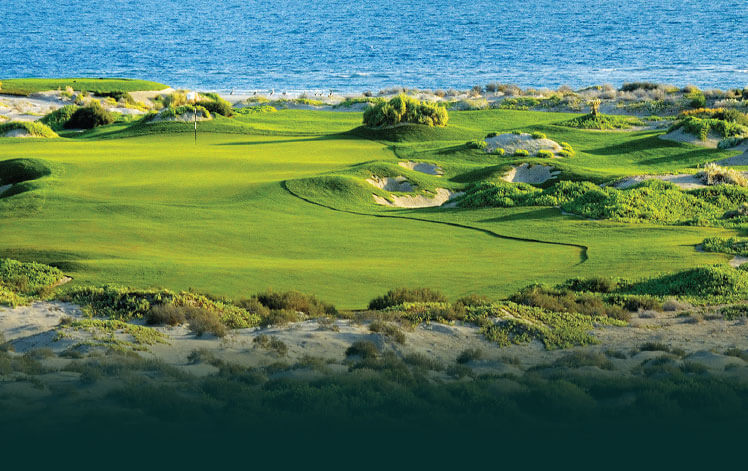 FLC_Quy_Nhon_Ocean_Course_-_Green.jpg (102 KB)