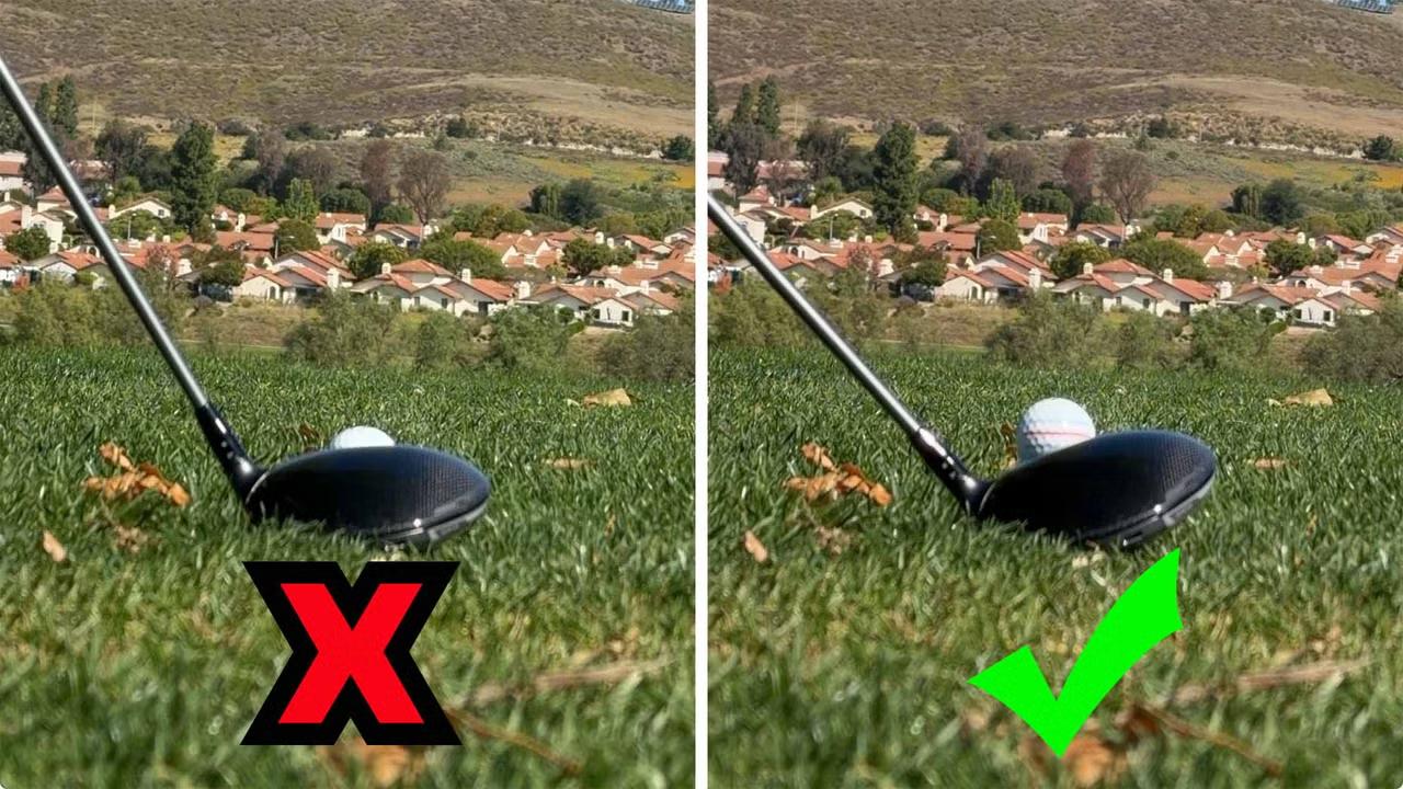 z7863697928003_7b63c006723da6c3fd6db6d7e3dcee10.jpg (185 KB)