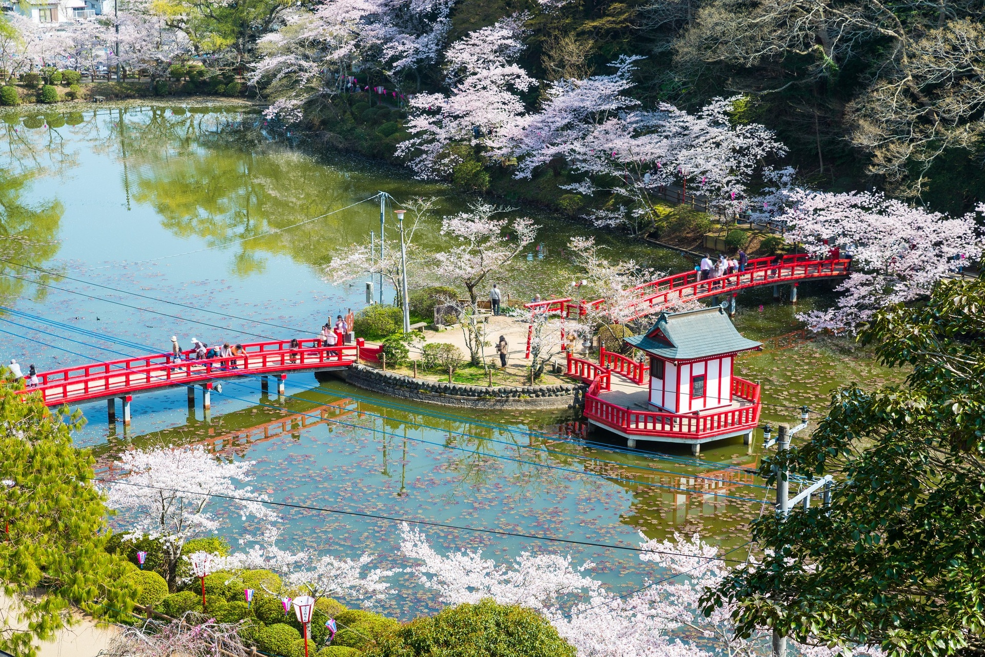 Golf “không vội vã” ở Chiba