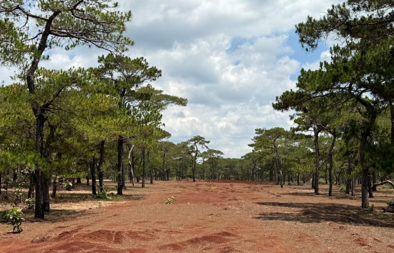FLC-Golf-Course-hole-6-768x494.jpg (110 KB)