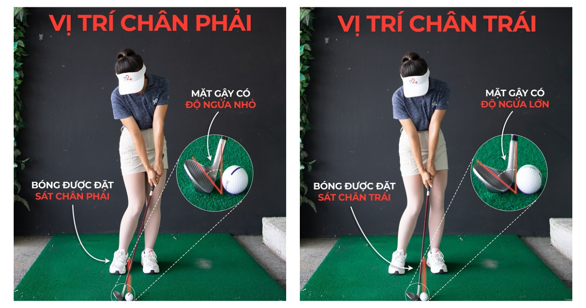 Chinh phục cú chip