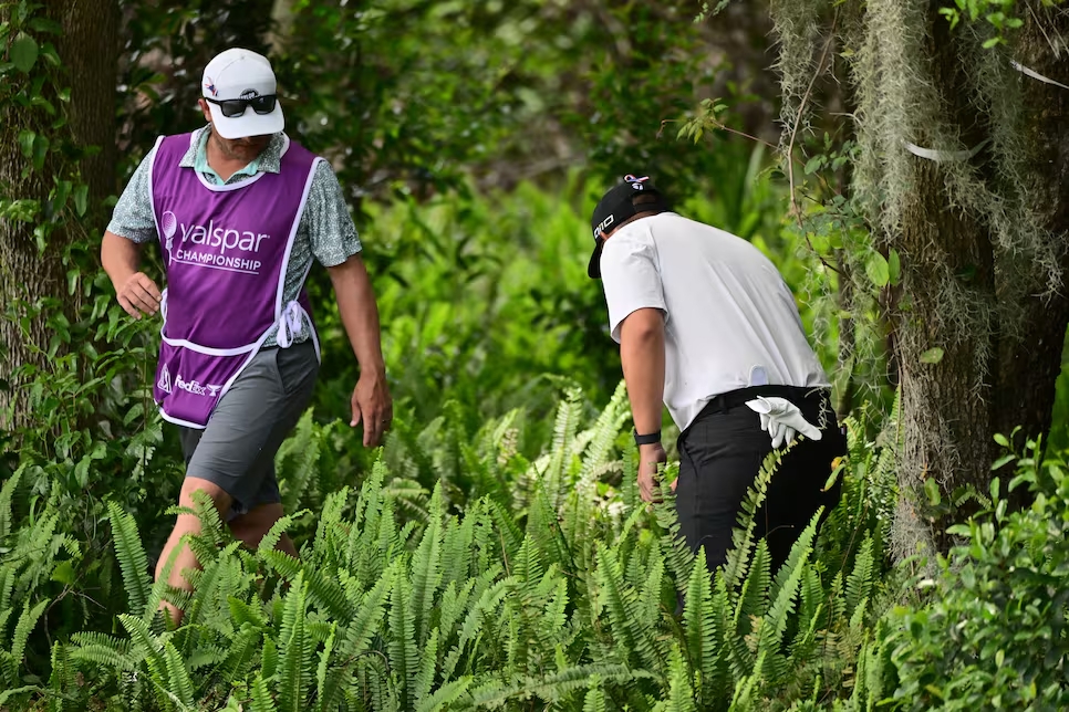 Luật Golf: Làm gãy cành cây khi tìm bóng có bị phạt không?