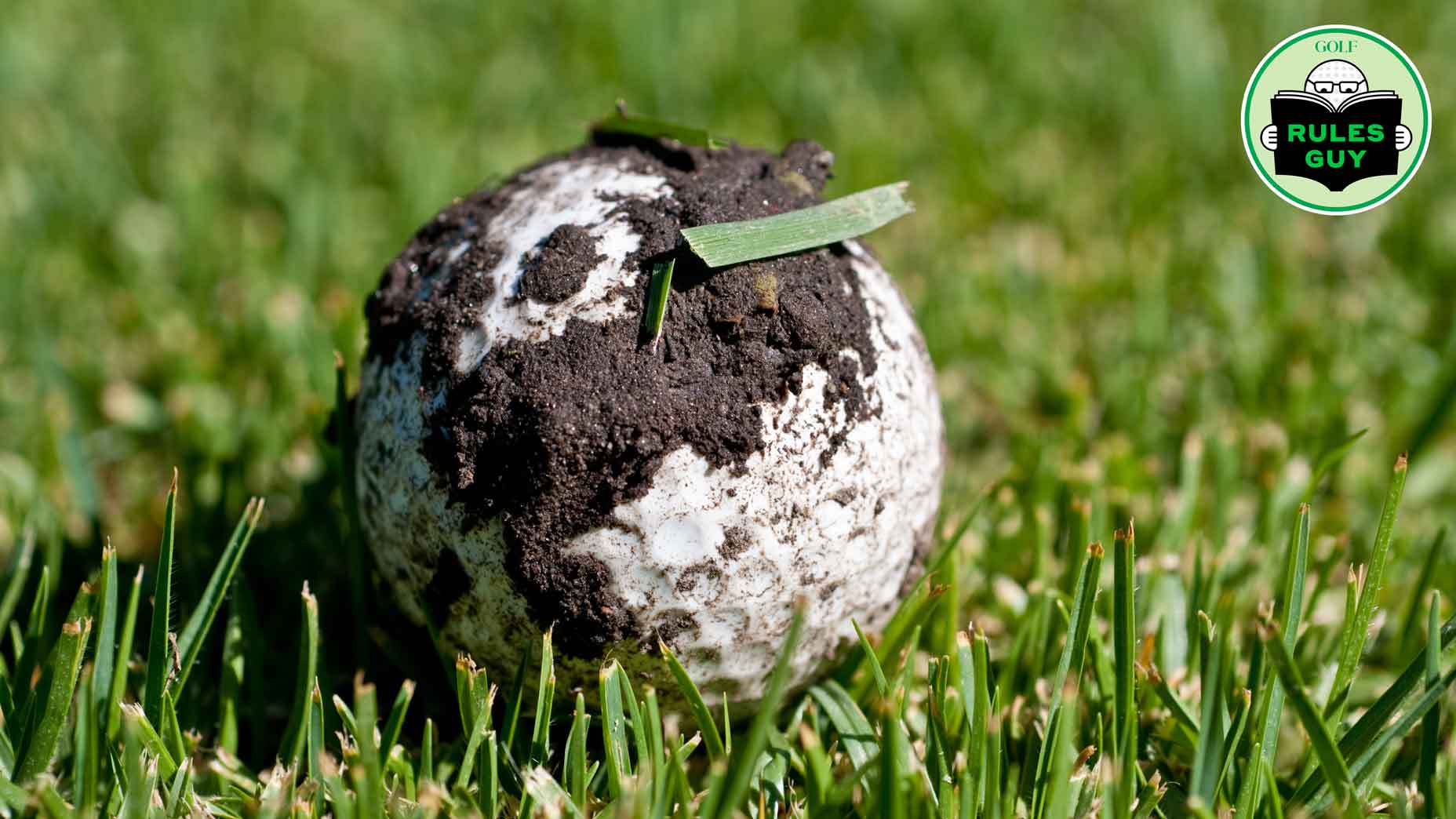dirty-golf-ball.jpg (123 KB)